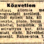 1907. 291. sz.