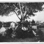 34 . Temetés Rákosligeten./ Forrás: Hegyi László