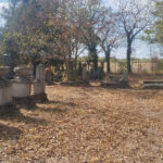 IMG_20260917_112801_2040